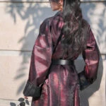 Ladies Round Collar Robe Dashing Martial Arts Style Hanfu