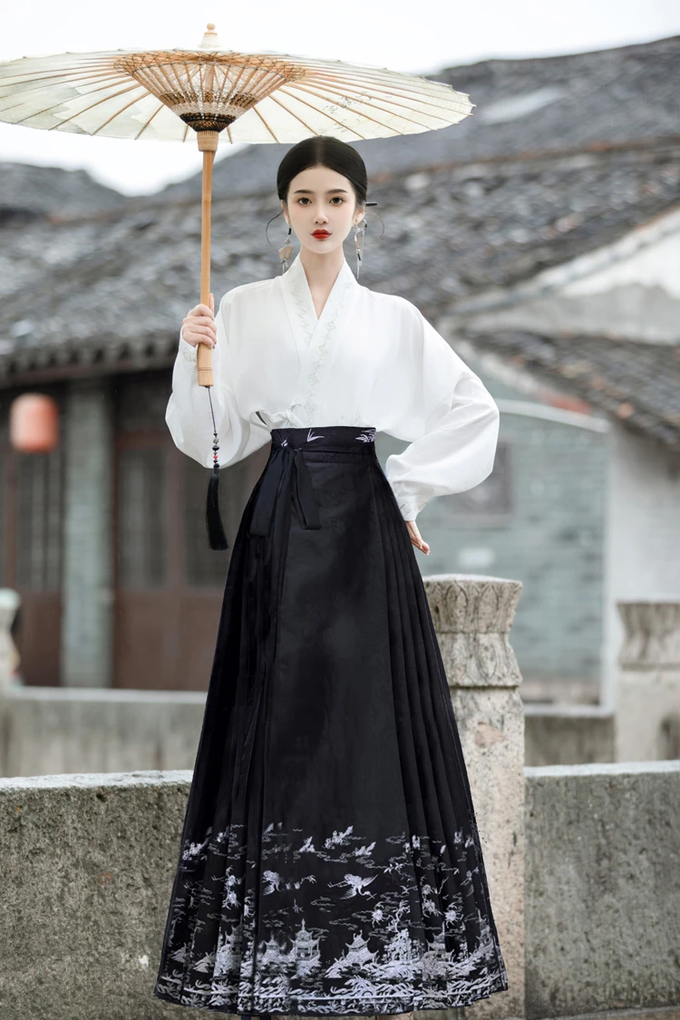 Women Casual Hanfu Ming Dynasty Mamian Skirt Set Black Dashing Style