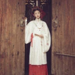 horse-face hanfu dress