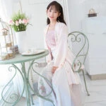 summer rose modern hanfu