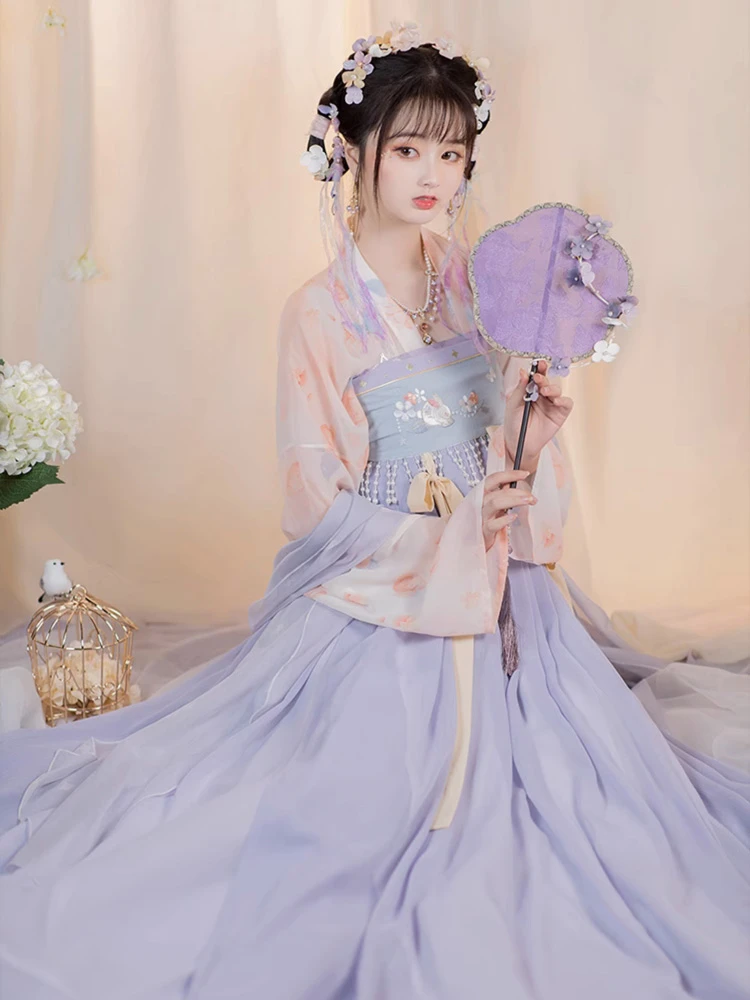 Spring Tang Dynasty Girl Heziqun Dress Cute Qixiong Hanfu