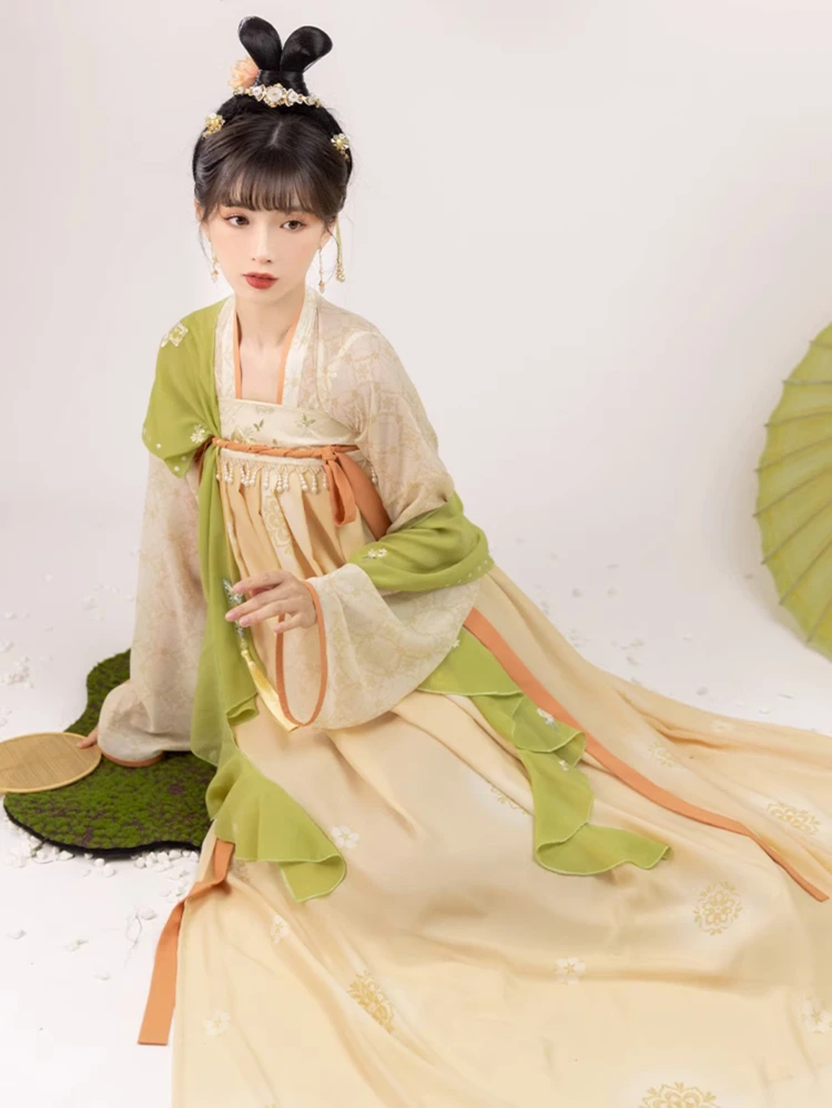 Spring Women Tang Dynasty Hanfu Qixiong Shanqun Elegant Butterfly Dresses