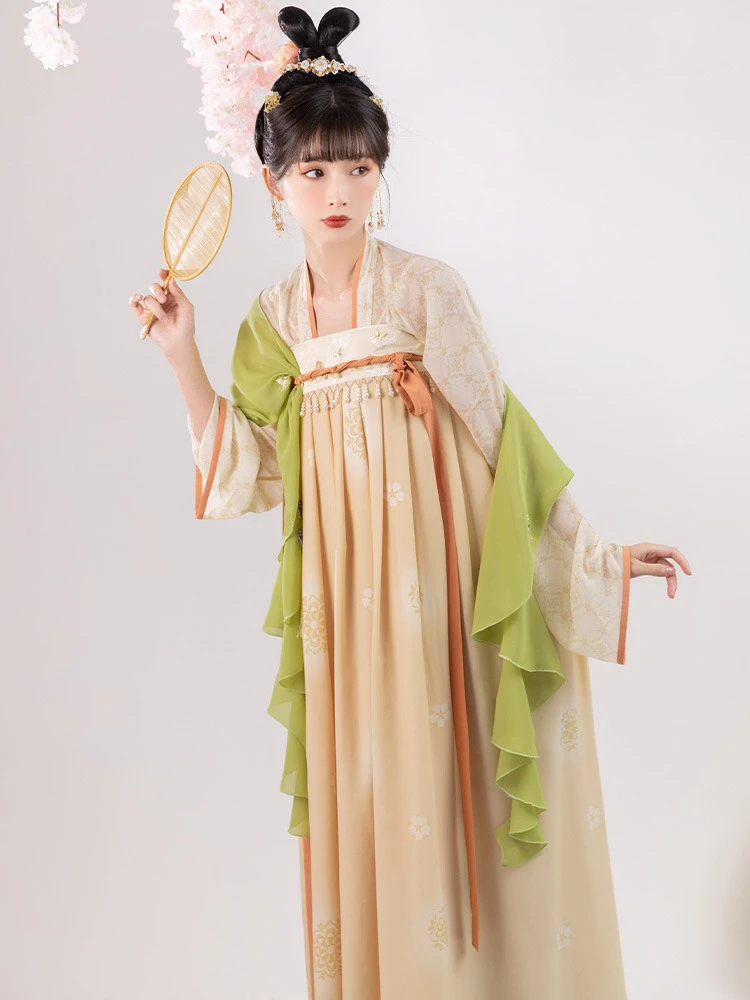 Spring Women Tang Dynasty Hanfu Qixiong Shanqun Elegant Butterfly Dresses