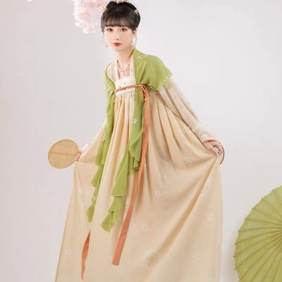 Spring Women Tang Dynasty Hanfu Qixiong Shanqun Elegant Butterfly Dresses