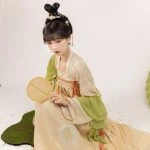 Spring Women Tang Dynasty Hanfu Qixiong Shanqun Elegant Butterfly Dresses