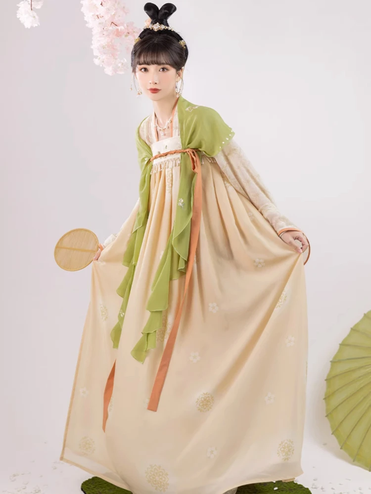 Spring Women Tang Dynasty Hanfu Qixiong Shanqun Elegant Butterfly Dresses