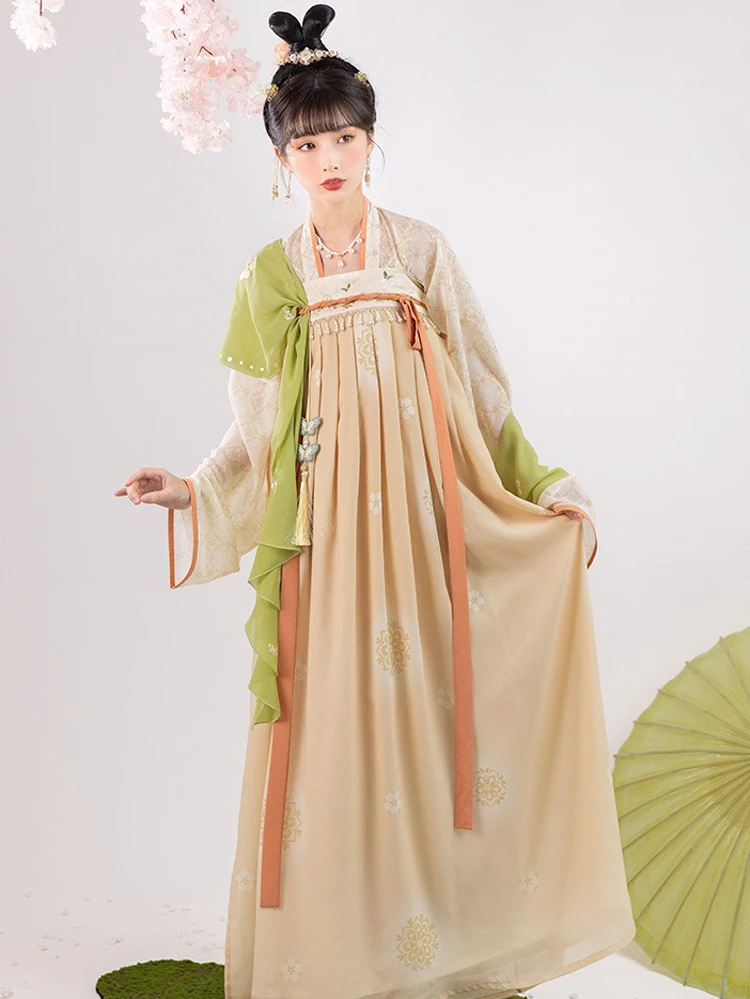 Spring Women Tang Dynasty Hanfu Qixiong Shanqun Elegant Butterfly Dresses