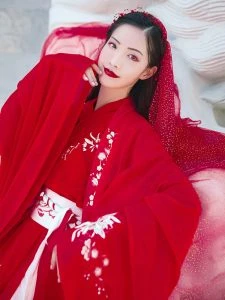 Shop Hanfu Fairy Wedding - Newhanfu Store 2021