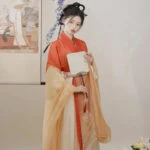 court dancer chiffon hanfu dress