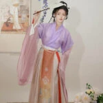 court dancer chiffon hanfu dress