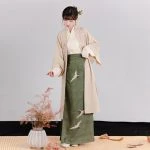 Women's Song Dynasty Hanfu Long Stylish Spring Daily Wear