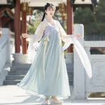 Palace Girl hanfu dress