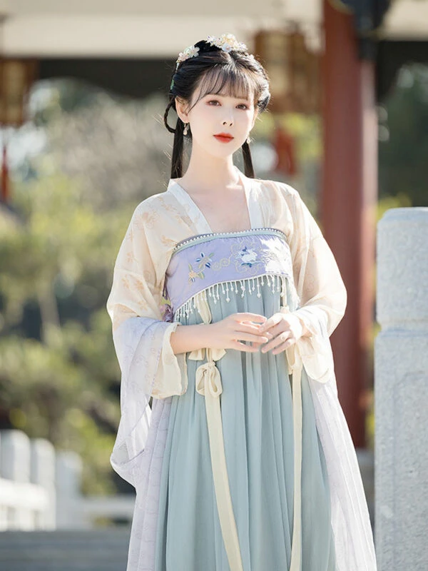 Palace Girl Blue Pink Hanfu Dance Dress - Newhanfu