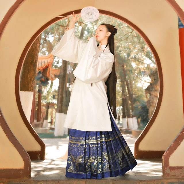 traditional Chinese dress horse face skirt