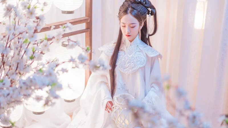 fashion hanfu dress