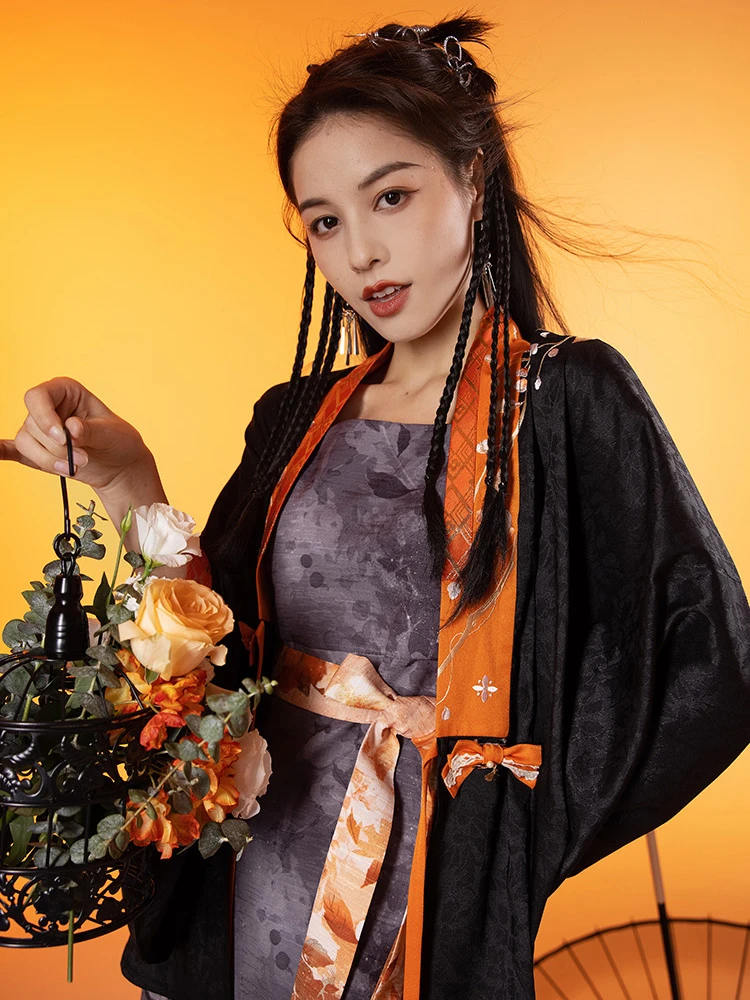 Distinctive Modern Women Ming Style Hanfu Dresses