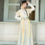 New Tang Beizi Hanfu Qiyao Dress