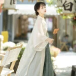 Summer Women Modern Hanfu Song Dynasty Daily Costume