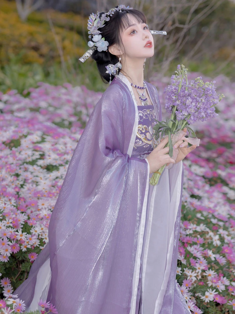 Summer Purple Hanfu Set Unique Tang Dynasty Hezi Dress