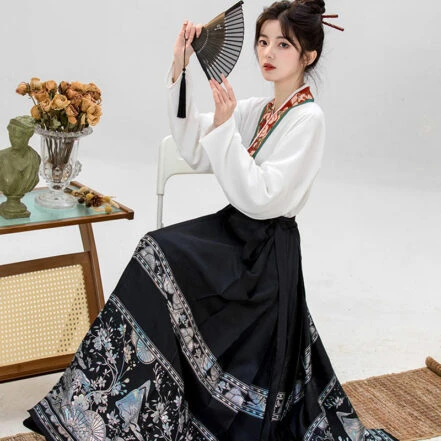 Top 100 Retro Ming Dynasty Hanfu Dresses - Newhanfu 2023