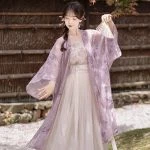 Song Dynasty Women's Hanfu Daily Commuter Casual Style Dresses