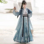 Song Style Martial Arts Hanfu Summer Cool Vintage Costume