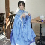 Women's Traditional Ming Dynasty Mamian Dress Blue Daily Hanfu
