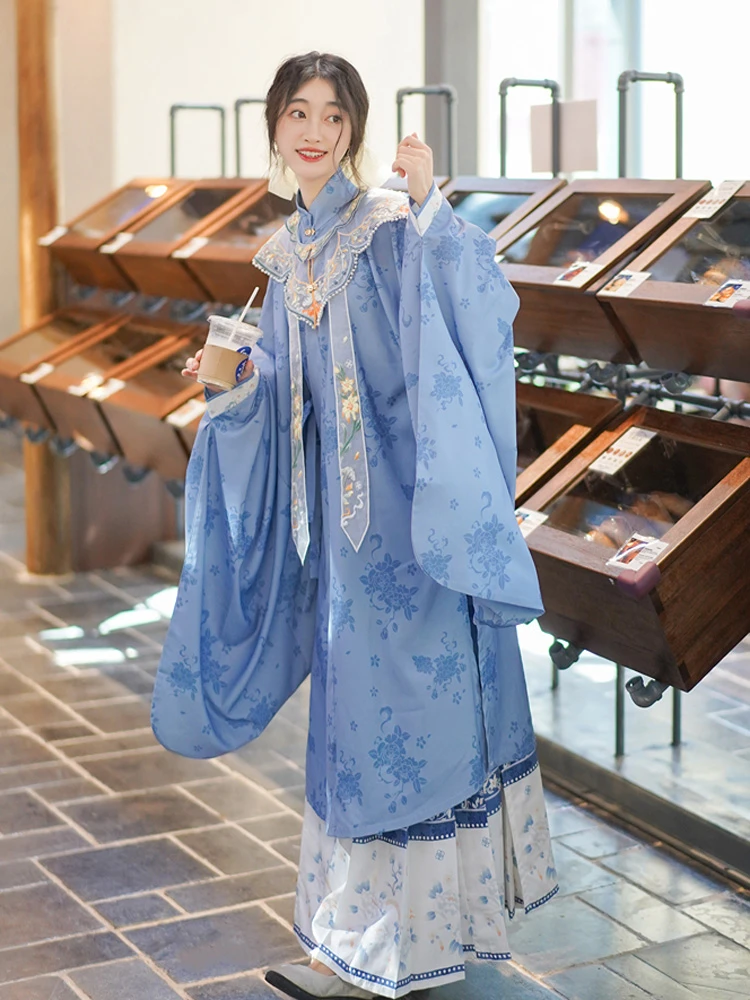 Women's Traditional Ming Dynasty Mamian Dress Blue Daily Hanfu