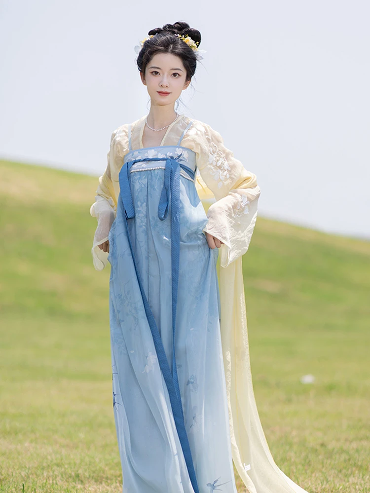 Lady Tang Dynasty Qixiong Shanqun Dress Set Fresh Improved Hanfu