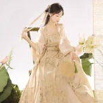 Song Dynasty Casual Hanfu Women Summer New Chinoiserie Style Long Shirt