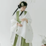 Fall Ming Dynasty Hanfu Long Aoqun Costume for Women
