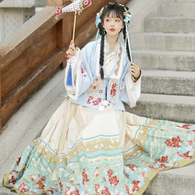Winter Women Hanfu Ming Dynasty Aoqun Dress for New Year