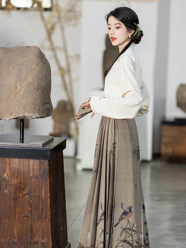 Ming Dynasty Fashion Hanfu Women's Autumn Plum Costume