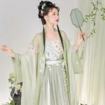 Song Women Hanfu Summer Fairy Long Shirt Dragon Element