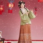 Women Winter Hanfu Festive Ming Dynasty Traditional Clothing