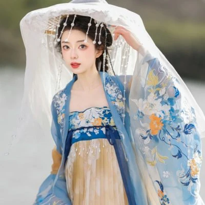 Tang Women Hanfu Summer Blue Hezi Dresses