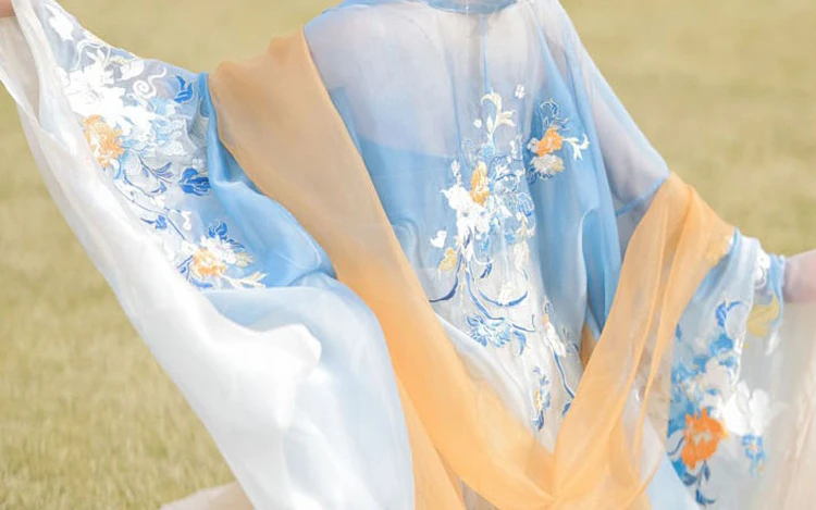 Tang Women Hanfu Summer Blue Hezi Dresses