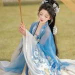 Tang Women Hanfu Summer Blue Hezi Dresses