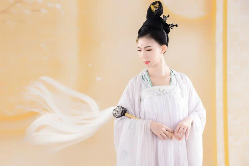 Explore the Flowing Long Sleeve Hanfu