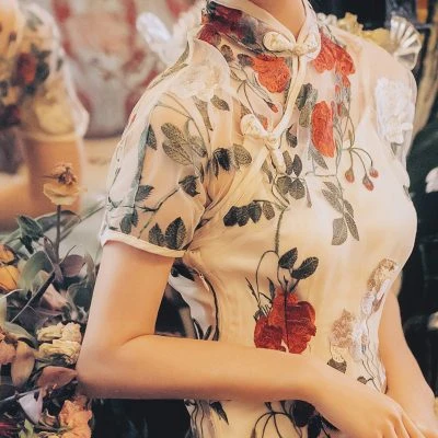 Spring Ladies Cheongsam Rose Embroidery Vintage Qipao Dress