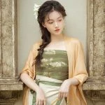 Song Dynasty Ladies Fashion Hanfu Summer Dress Refreshing Daily Skirt