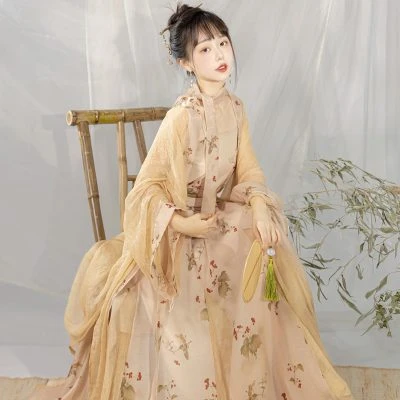 Song Ladies Hanfu Beige Summer Daily Casual Skirt
