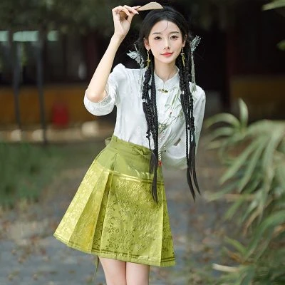 Women Summer Ming Dynasty Hanfu Short Ma Mian Skirt Embroidery Fashion Suit