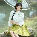 Women Summer Ming Dynasty Hanfu Short Ma Mian Skirt Embroidery Fashion Suit