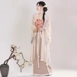 Fashion Song Dynasty Ladies Hanfu Daily Summer Cute Skirt