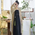 Modern Hanfu Women Song Fashion Hanfu Daily Pleated Skirt