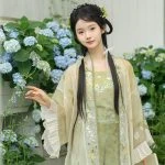 Song Hanfu Summer Women Fashion Songku Green Colours