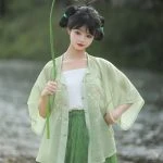 Summer Women Song Dynasty Hanfu Fresh Breathable Daily Green Songku