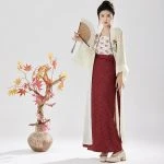 Women's Song Fashion Hanfu Long Shirt Fashion Daily Skirt