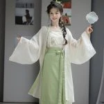 Ming Dynasty Round Neck Long Shirt Ma Mian Skirt Modern Daily Wear